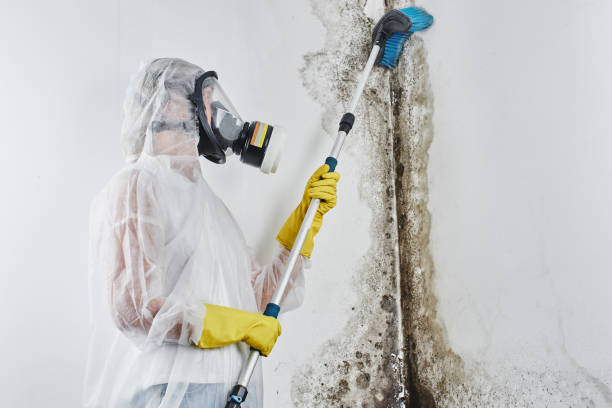 Water Damage Restoration in Petersburg, IL