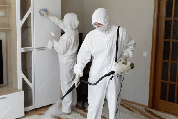 Best Certified Mold Removal  in Petersburg, IL